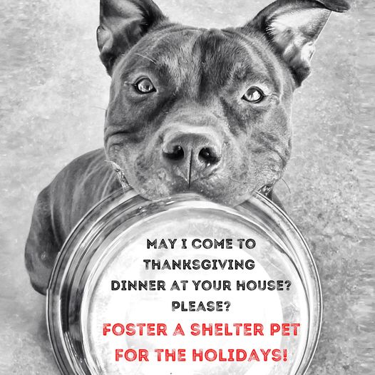 465640548_986091193561609_2481591102137157945_n