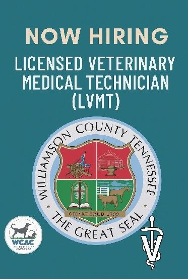 2245b7943-4f8f-4d98-9035-4e8b10841624